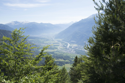 Weitblick über das Bündner Rheintal mit dem Rhein, grünen Feldern und Ortschaften, eingerahmt von bewaldeten Hängen und hohen Bergen.