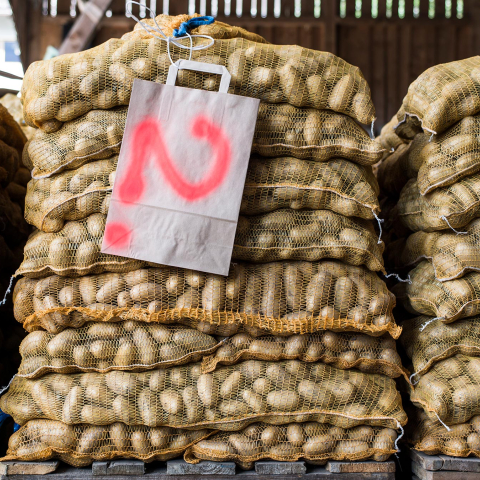 Gestapelte Kartoffelsäcke auf Paletten in einer Lagerhalle, mit einem markierten Sack in der Mitte und Kartoffeln aus regionaler Landwirtschaft.