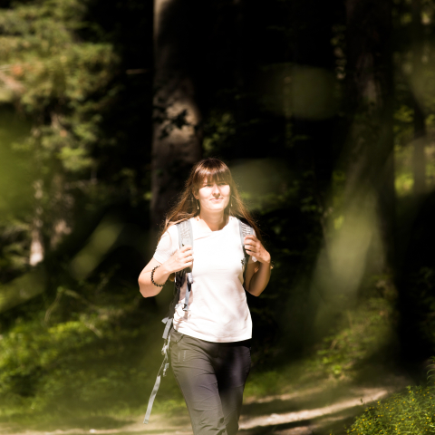 Eine Frau wandert mit Rucksack auf einem sonnendurchfluteten Waldweg durch einen dichten Wald mit hohen Bäumen.
