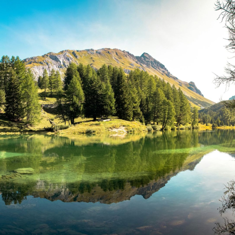 Der kristallklare Lai da Palpuogna in der Region Albula spiegelt Arven, goldene Bergwiesen und die felsigen Gipfel der Bündner Alpen.