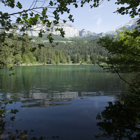 Ein stiller Bergsee in Graubünden spiegelt bewaldete Hänge und markante Gipfel und steht für Erholung, Gesundheit und neue Energie.