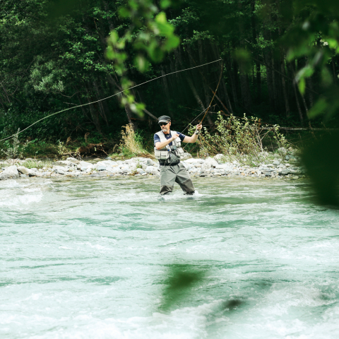 Ein Mann beim Fliegenfischen steht im türkisfarbenen Fluss und wirft seine Angelschnur vor dicht bewaldetem Ufer aus.