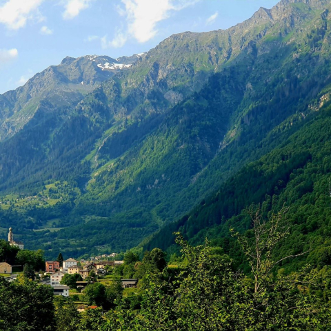 Panorama der Region Moesa mit bewaldeten Berghängen, einem Dorf im Tal und imposanten Gipfeln unter blauem Himmel.
