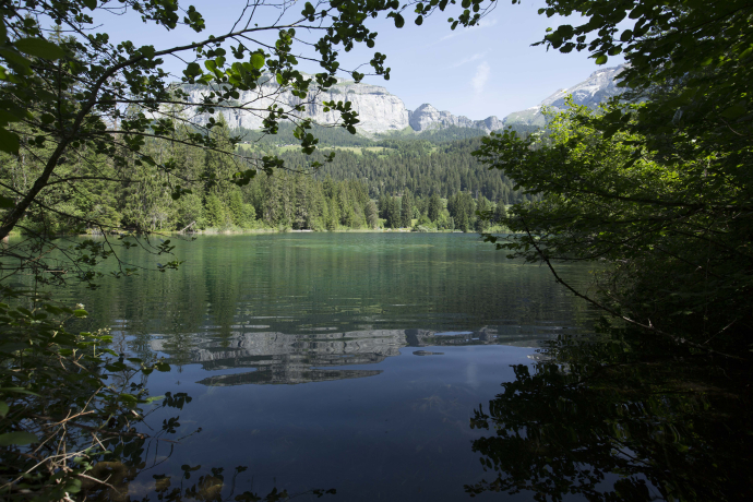 Blick über den ruhigen Crestasee mit klarem Wasser, dichtem Wald und markanten Felsbergen im Hintergrund.