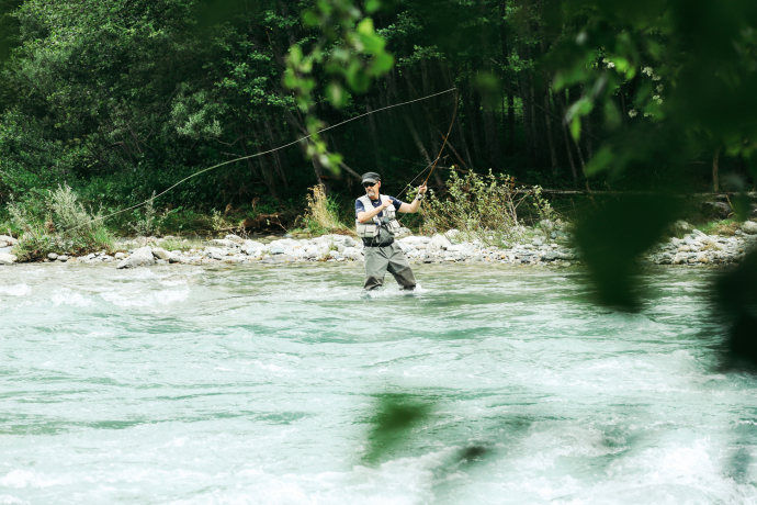 Ein Mann beim Fliegenfischen steht im türkisfarbenen Fluss und wirft seine Angelschnur vor dicht bewaldetem Ufer aus.