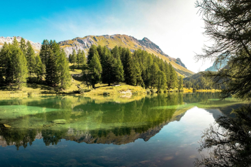 Der kristallklare Lai da Palpuogna in der Region Albula spiegelt Arven, goldene Bergwiesen und die felsigen Gipfel der Bündner Alpen.