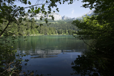 Ein stiller Bergsee in Graubünden spiegelt bewaldete Hänge und markante Gipfel und steht für Erholung, Gesundheit und neue Energie.